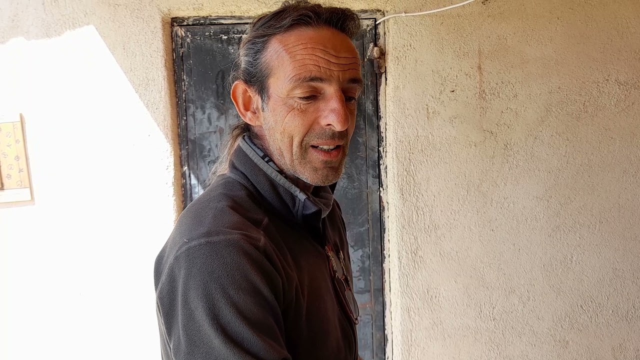 Ελληνικός ποιμενικος κουτάβια ανάπτυξη και  τάισμα ❤🖤🤍❤