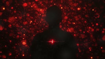 Renascentia | Simbiosys | Visual