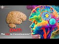 The Profound Potential of DMT