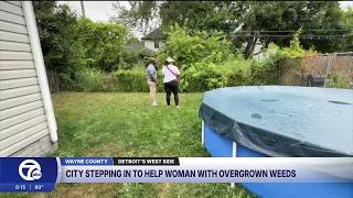 Detroit woman reaches out to WXYZ about alley overrun with brush, debris