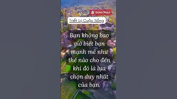 #5 Câu Nói Hay Về Sự Thật Cuộc Sống #8! #baihoccuocsong #phattrienbanthan #triếtlýcuộcsống