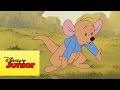 Mini aventuras de Winnie the Pooh - Una lección sobre elefantes