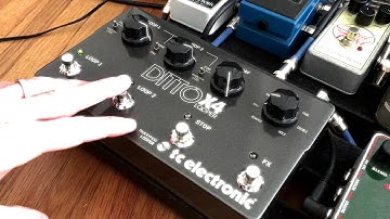 Ditto X4 Looper Review/Demo