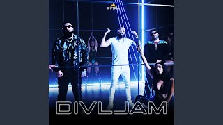 Divljam