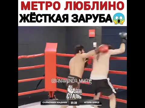 Швед метро люблино