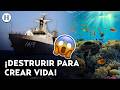 ¡SEMAR hunde su propia flota...! para salvar al mar mexicano y formar arrecifes artificiales