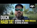 Growing the BEST Grasses for Duck Food | Duck Habitat