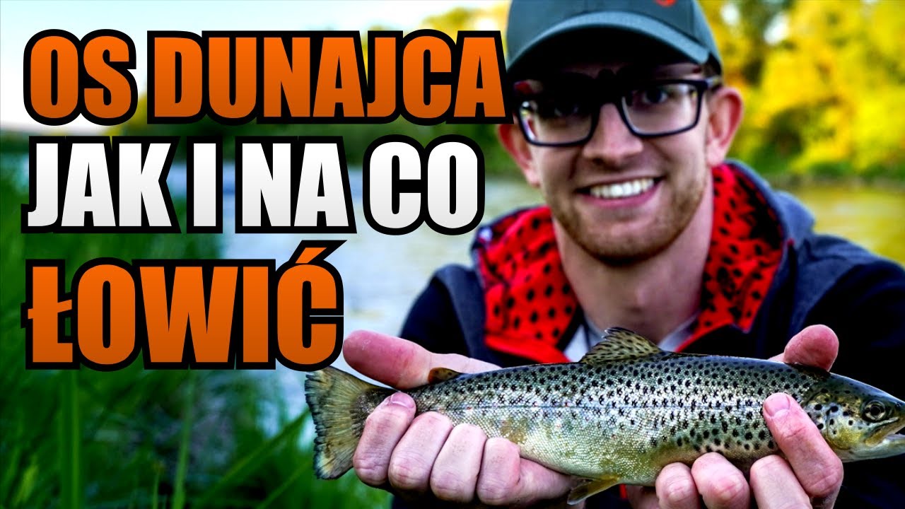 Jak i na co Łowić Pstrągi na Odcinku Specjalnym Dunajca? Nasze Sposoby na Pstrągi Potokowe