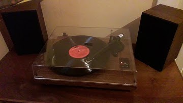 FOCUS-Elspeth of Nottingham