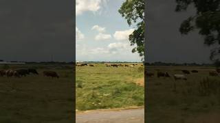Сельская идиллия (Кабардино-Балкария)🌀🌀🌀