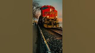 'All aboard the train of life. 🚂✨ #LifeOnTracks #JourneyOfTheHeart'