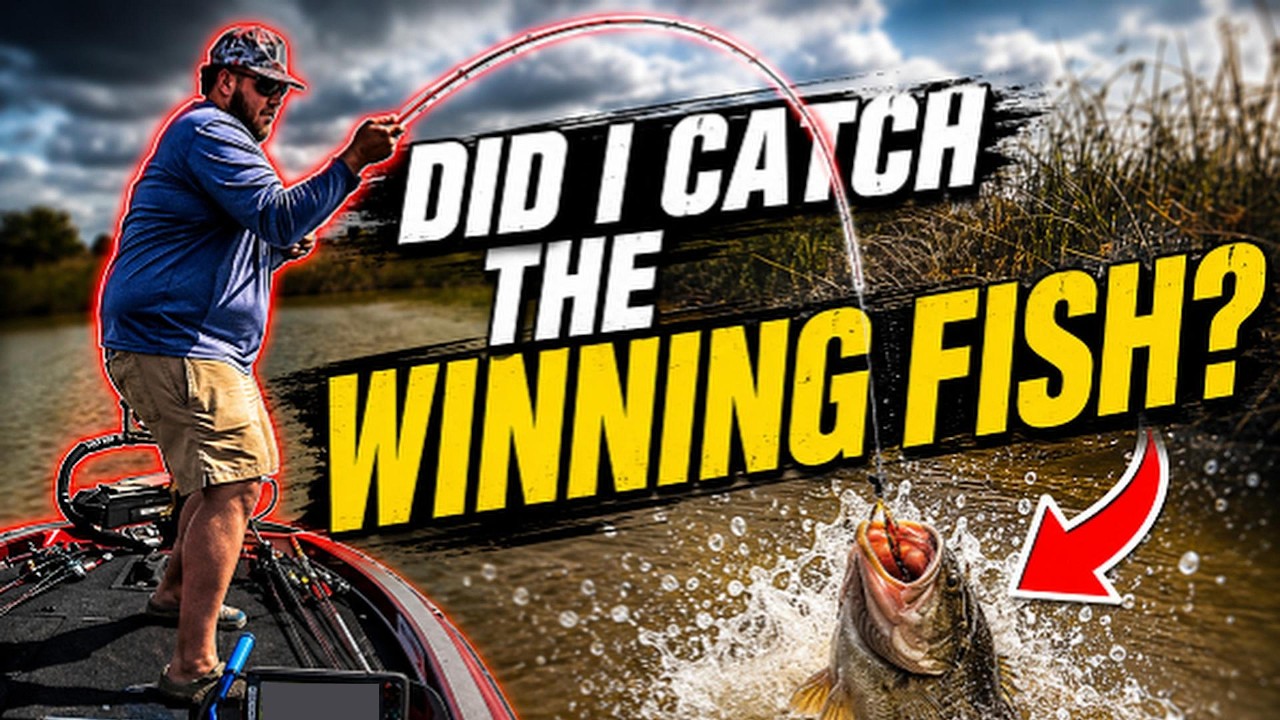 SO many BIG bass lurking in MUDDY water! (Lake Stamford, Tx)