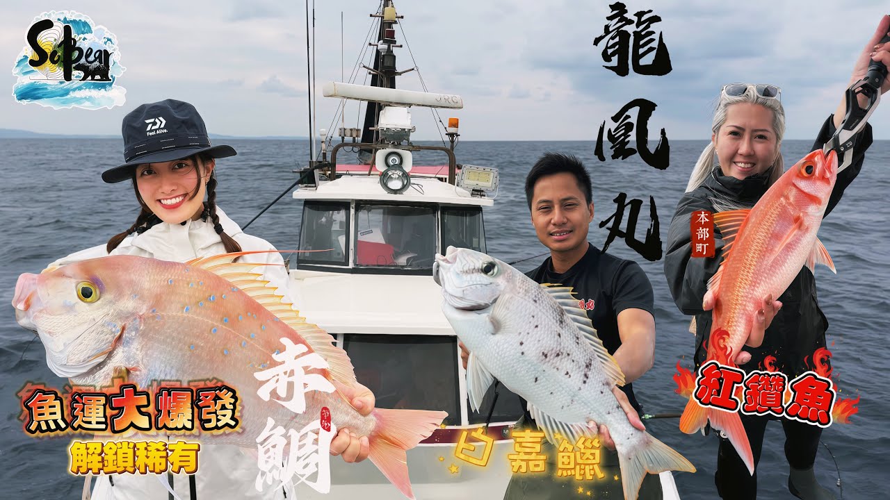 沖繩龍凰丸｜Ceci魚運大爆發｜解鎖56cm稀有新魚種｜ 一齊中魚忙到無停手｜#sobear #龍凰丸 #沖繩釣魚 #搖籠 #赤鯛 #4k