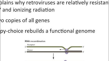Virology 2013 Lecture #9 - Reverse transcription and integration