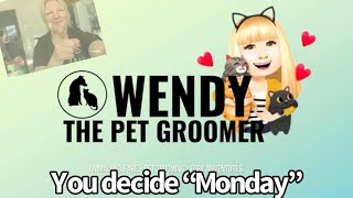 #Monday #morning #shoutout #everyweek #everymonday by Wendy The Practical Pet Groomer 37 views 2 months ago 16 minutes