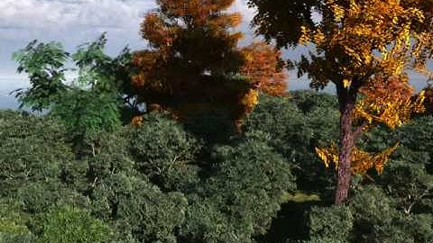 Vue Wind and Ecosystem test.