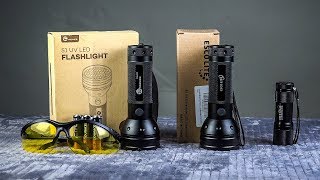 TauTronics vs Esco Lite vs Peedar Ultraviolet Pet Urine Detector Flashlights