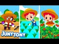 Farmer Learn How Crops Are Grown And Harvested Job Songs For Kids Preschool Songs JunyTony