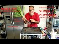 YUCCA CUTTINGS, PROPAGATING AND ROOTING WITH GREAT SUCCESS IN JUST 10 WEEKS ON PHILA TV!