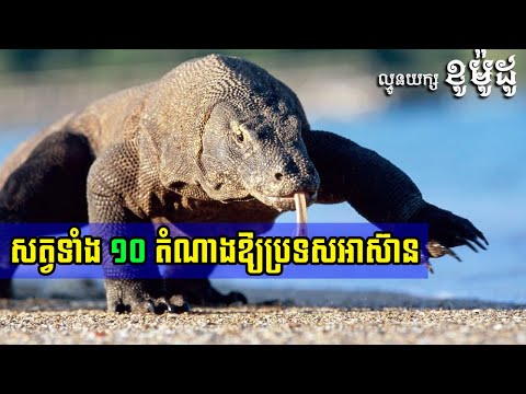 សត្វទាំង ១០ ដែលតំណាងឱ្យប្រទេសអាស៊ាននីមួយៗ