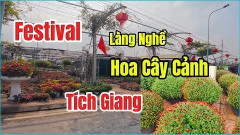 Festival Làng Nghề Hoa Cây Cảnh Tích Giang Phúc Thọ – Sắc Xuân Ngập Tràn!
