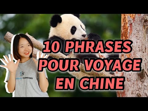 Vidéo: Mots et expressions utiles à connaître avant de visiter la Chine