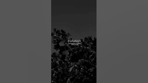 إن الإنسان لربه لكنود #سورة#العاديات