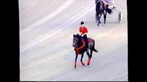 1996 Scioto Downs NIPPY HANOVER Debbie Rucker