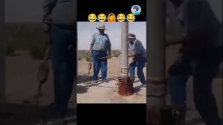 this week most popular funny videos 😂😂🙆 Ep 194 #funny