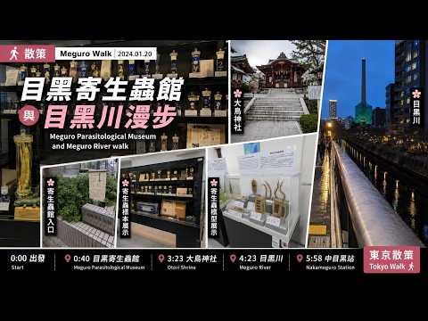 [散策] 東京目黑散步｜走訪目黑寄生蟲館、大鳥神社，再沿目黑川到中目黑｜Meguro River Walk｜2024.01.20