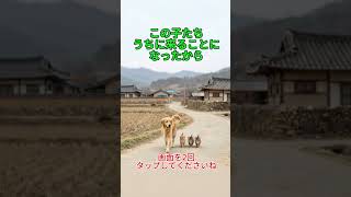 誰が決めたの  ?エサ代が4倍じゃん