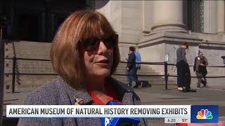Why The American Museum Of Natural History Is Removing Human Remains From Exhibits Nbc New York