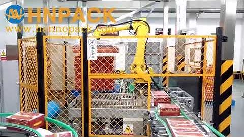 Hennopack fully layer fanuc robotic palletizing system for carton box stack