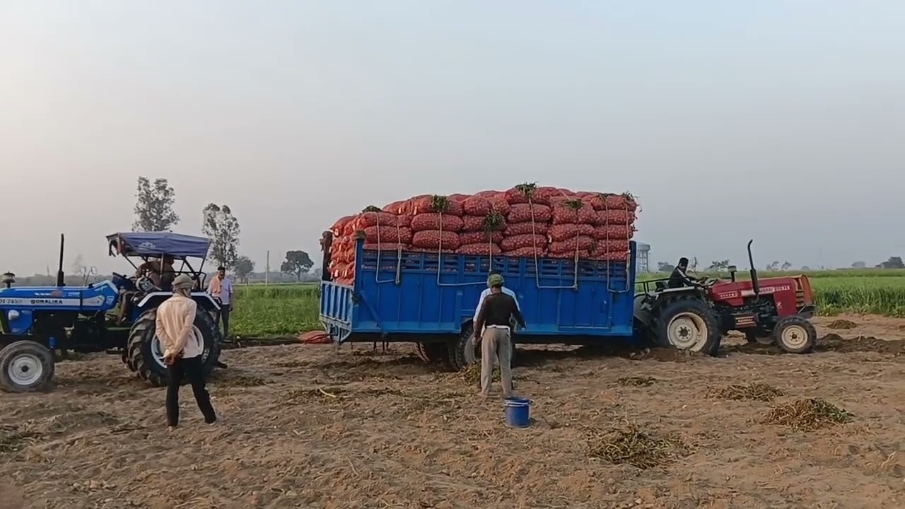 Swaraj 855 tractor 397 katta lekar fas gya 🫣🚜🚜🐅 #viral #public #video #reels 