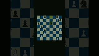 This is Bobby Fischer