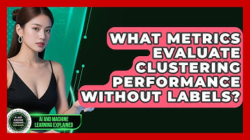 What Metrics Evaluate Clustering Performance Without Labels? - AI and Machine Learning Explained