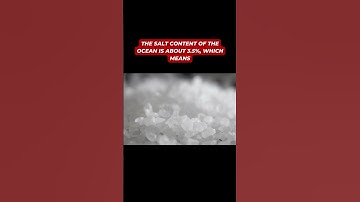 Facts about Salt and The Ocean #shorts #facts #salt #ocean