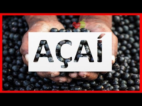 Os 20 Benefícios do Açaí Para Saúde | Dicas de Saúde