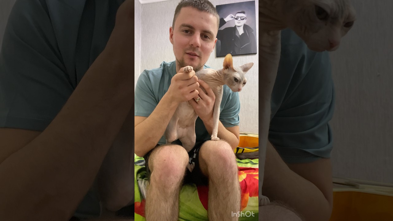 ПОПРОБУЙ СЫГРАТЬ МЕЛОДИЮ ИЗ МАЖОРА СО МНОЙ