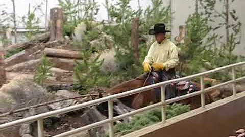 2009 Mountain Trail compeditor Bridleless Oregon H...