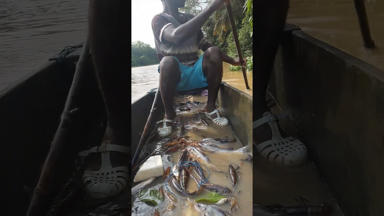 FISHING 🎣🎣🎣🦦🦦🦦 #viral #fishing