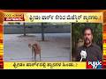 ಫ್ರೀಡಂ ಪಾರ್ಕ್ ಸೇರಿದ ಮೆಜೆಸ್ಟಿಕ್ ಶ್ವಾನಗಳು..! | Freedom Park | Public TV