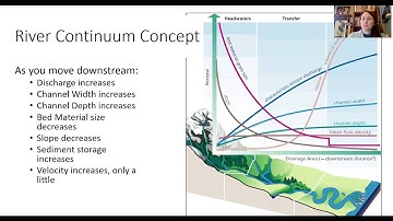 Freshwater Ecosystems - Part 3