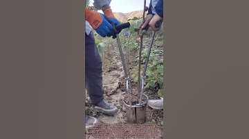 DIY Tree Spade: Dig Up Fruit Sapling with Root Ball Perfectly | Homemade Gardening Tool