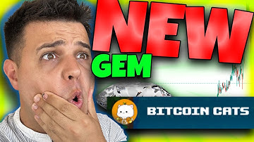 1CAT Coin Bitcoin Cats Token Crypto ✅ Now what? $1CAT