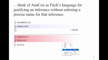 "Language, Proof and Logic": AnaCon Focus