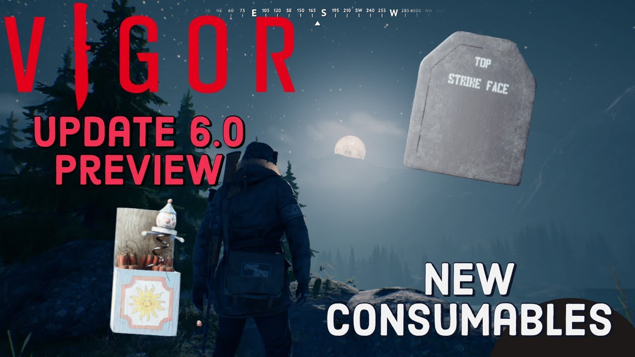 Vigor 6.0 Update Preview, New Consumables