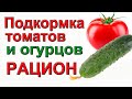 Чем и когда подкормить томаты и огурцы ПОДРОБНАЯ ИНСТРУКЦИЯ