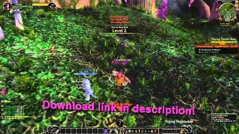 Easy leveling with Zygor Guides for WoW 4.3