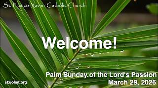 SFX Joliet Mass - March 29, 2026